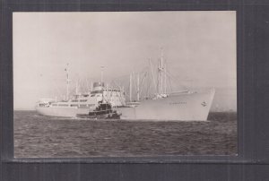 SWEDEN  SS MINNESOTA  TRANSATLANTIC STEAMSHIP CO., c1960 ppc., unused.