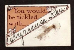 KS You would be tickled with SYRACUSE KANSAS Feather PC