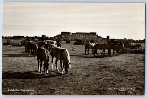 Öland Sweden Postcard Borgholm Slott Runes c1910 Posted Antique RPPC Photo