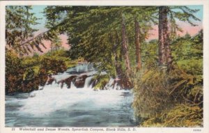 South Dakota Black Hills Waterfall and Dense Woods Spearfish Canyon 1940 Curt...