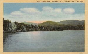 ASHEVILLE, North Carolina NC   BEAVER LAKE VIEW  c1940's Curteich Linen Postcard