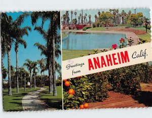 M-214428 Greetings from Anaheim California USA