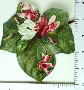 1870's Fabulous Lovely Die Cut Double Sided Leaf Christmas Heaven Flowers #C