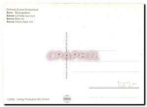 Modern Postcard Bern The Bear Pit