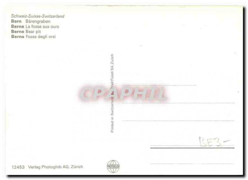 Modern Postcard Bern The Bear Pit