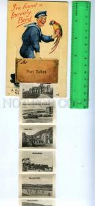 227183 UK PORT TALBOT folded 12 views parrot Vintage postcard