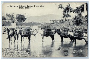 Mexico Postcard A Mexican Chicken Dealer Returning from Market c1940's