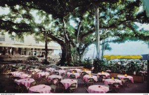 HONOLULU, Hawaii,1950-1960s; Moana Hotel's Banyan Court Lanai