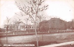 GREELEY COLORADO NORMAL SCHOOL BUILDINGS ALEXANDER & HUNTER PUBL POSTCARD 1908