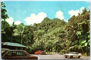 M-68159 View of the Tropical Rain Forest with El Yunque Mountain Puerto Rico