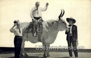 Lone Star, Miss Jeanne Maulsby - San Antonio, Texas