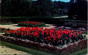 Sinnissippi Park Sunken Gardens Flower Beds Rockford Illinois Chrome Postcard 