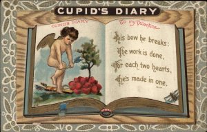 Valentine Cupid's Diary Book Border Broken Arrows c1910 Vintage Postcard 