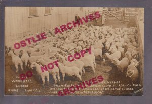 Weldon COLORADO RPPC 1912 LAMB HERD Slaughter House CHICAGO MARKET Sheep MEAT