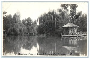 c1930's Mendoza General Ortega Park Col. Fajardo Argentina RPPC Photo Postcard