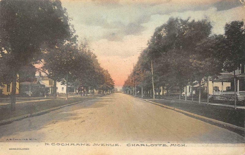 N. Cochrane Avenue CHARLOTTE, MI Street Scene 1911 Hand-Colored Vintage Postcard