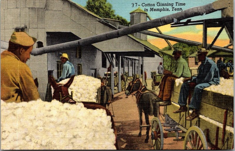 Memphis TN Cotton Ginning Time Men Wagons Vintage Linen Postcard JH5