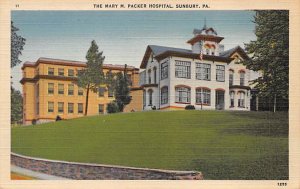 Mary M Packer Hospital Sunbury, Pennsylvania, USA Unused 