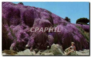 Old Postcard The Magic Carpet pacific Grove California An Intriguing View of ...