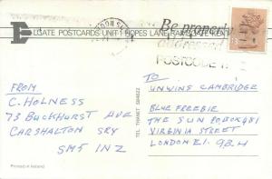 Teddy bears beach life shells sand play postcard