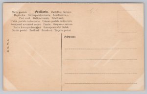 Postcard Mendelssohn Portrait Composer 1910s DB View