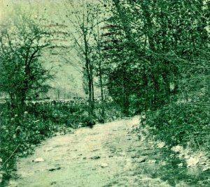 Mountain Stream Near Cambridge New York NY 1907 UDB Postcard