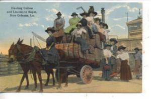 NEW ORLEANS LOUISIANA DONKEY DRAWN COTTON & SUGAR DELIVER...