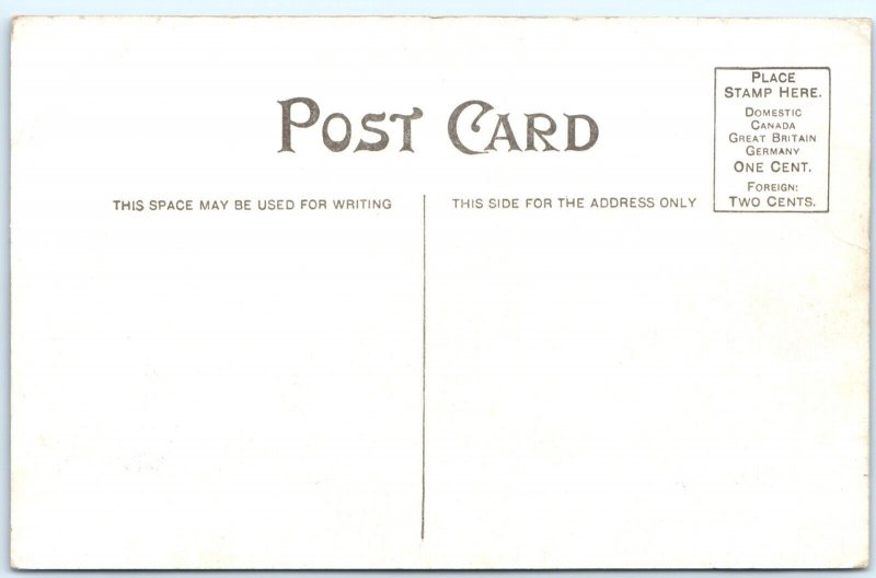 c1910s St Paul, MN Mound's Park Sanitarium Nurses' Home Unused Postcard Vtg A102