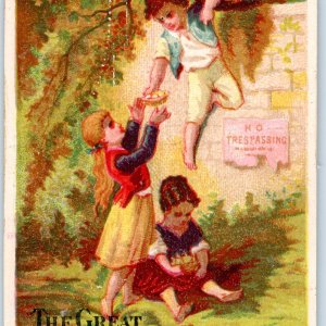 c1880s Great Atlantic & Pacific Tea Co Cute Boy Girls Trespassing Bird Eggs C35