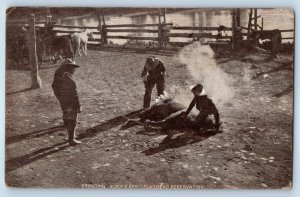 1906 Branding Slick Ears Flathlad Reservation Missoula Montana MT Postcard