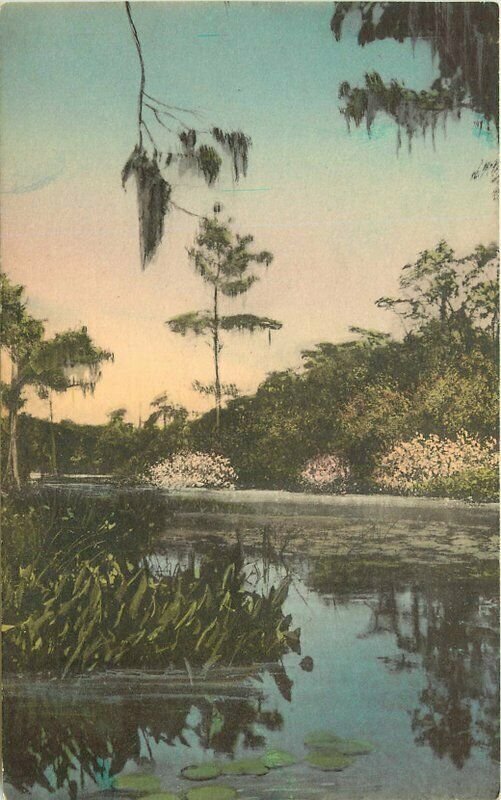 Albertype Jungle Cruise Wakulla Springs Florida 1950s Postcard  21-2877