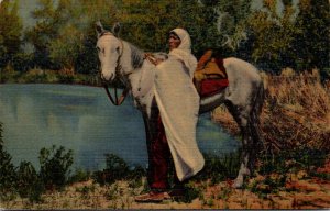 Taos Indian Horseman New Mexico Curteich