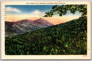 Vtg Western North Carolina NC Hawk's Bill Mountain 1950s View Linen Postcard