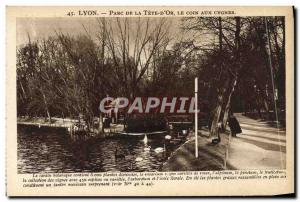 Old Postcard Lyon Parc De La Tete D & # 39Or Corner For Swans