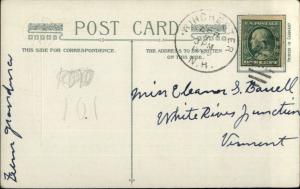 Winsch Easter Chicks or Baby Ducks Colorful Eggs c1910 Postcard