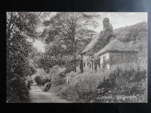 Hampshire LIPHOOK Hollycombe c1910 by Frith 46579