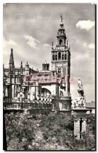 Old Postcard Sevilla Catedral Vista Parcial