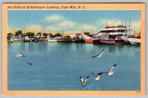 CAPE MAY NEW JERSEY SEAGULL SCHELLENGER'S LANDING VINTAGE LINEN TICHNOR POSTCARD