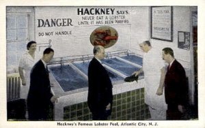 Hackneys Famous Lobster Pool - Atlantic City, New Jersey NJ Postcard