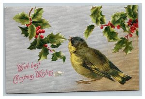 Vintage 1907 Winsch Back Christmas Postcard Cute Bird Mistletoe Holly Berries