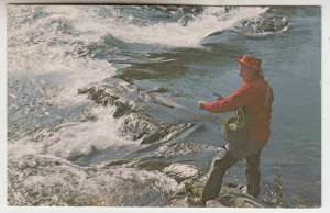 P2510, vintage postcard fishing a fast water stream new england