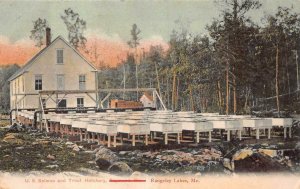 U.S. SALMON & TROUT HATCHERY RANGELEY LAKES MAINE POSTCARD 1908
