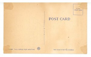 FL - Florida Large Letter & Greetings