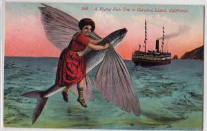 Flying Fish, Catalina Island CA