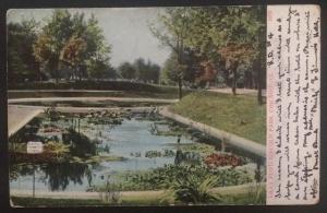 Lilly Pond Lincoln Park, Chicago, ILL. 1909 A.C. Bosselman & Co. 1673