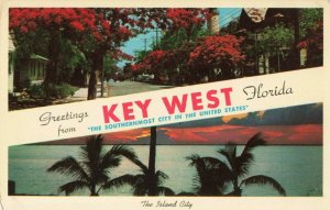 Postcard Greetings from Key West Florida