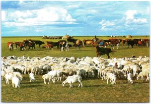 VINTAGE CHINA ILLUSTRATED MAXIMUM POSTCARD INNER MONGOLIA: HULUN BUIR GRASSLANDS