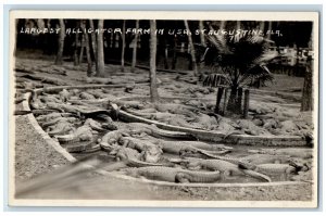 c1930's Largest Alligator Farm St. Augustine Florida FL RPPC Photo Postcard