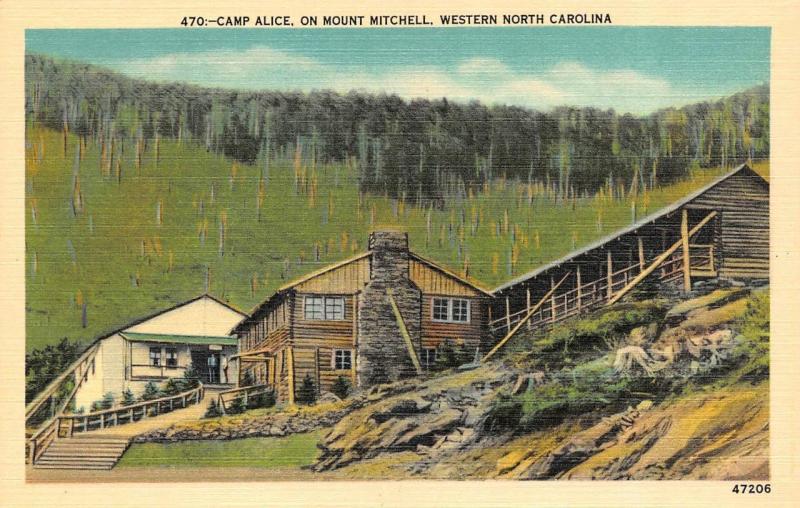 NC, North Carolina  CAMP ALICE~Logging Camp On MOUNT MITCHELL  c1940's Postcard