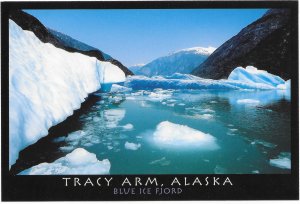 Alaska  unused. Tracy Arm - Blue Ice Fjord.  - Very Nice.